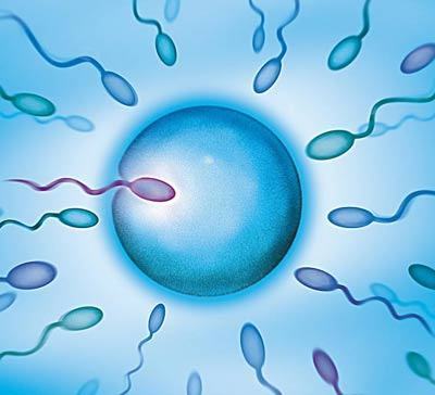 显微操作